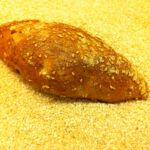 Brötchen vom Probsteier Bäcker