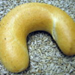 Brötchen vom Probsteier Bäcker